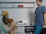 Bien-être des animaux de compagnie : 6 piliers essentiels