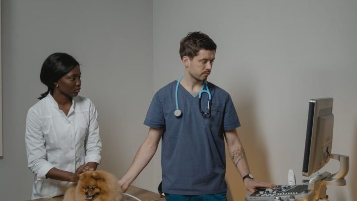 Vermifuger son chien : fréquence et méthodes essentielles