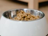 Alimentation équilibrée pour animaux : guide complet 2026