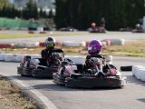Emmener son chien sur un circuit de karting : ce qu’il faut vraiment anticiper